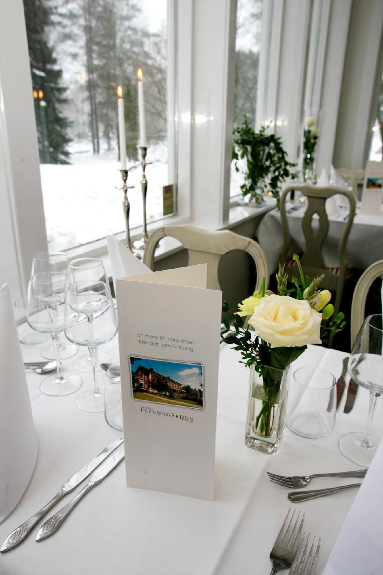 Plevnagarden 4*